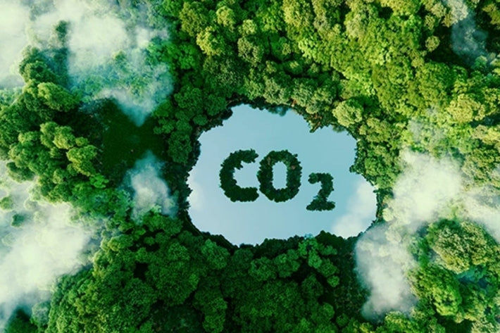 Vue aerienne d une foret verte entourant un lac en forme de CO2 pour le bilan carbone automobile