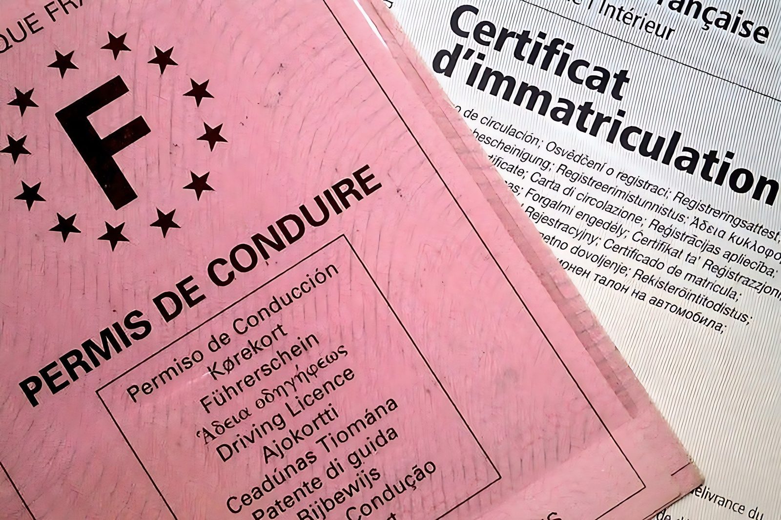 Permis de conduire francais et certificat d immatriculation poses pour des demarches administratives auto