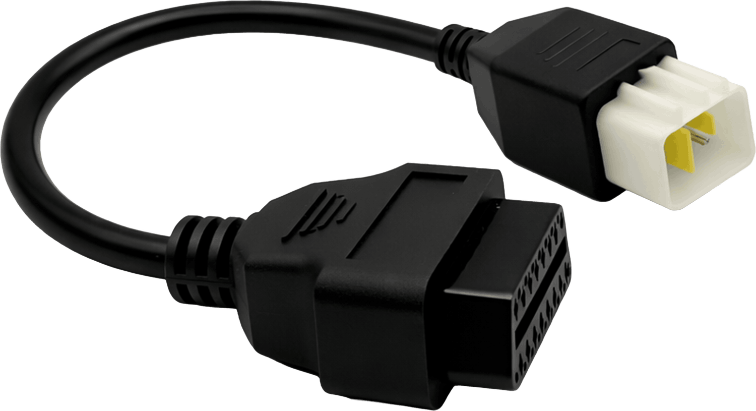 Adaptateur Delphi 6 broches vers prise OBD2 femelle pour diagnostic moto