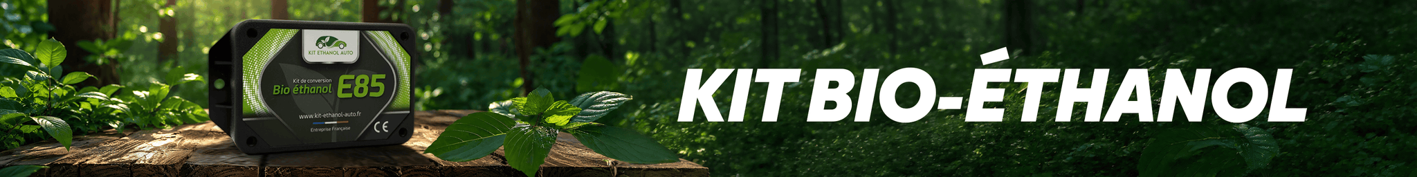 Boîtier de conversion Kit Bio Éthanol E85 posé sur un tronc d'arbre en forêt